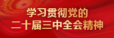 学习贯彻党的二十届三中全会精神